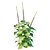 Barbatus 3D Model 2016 Corona 3D model small image 3