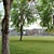 Acer Negundo 3D Model Archive 3D model small image 3