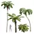 Spinulosa Fern 3D Decor Models 3D model small image 1