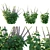 Belly Buster Plant Replica 3D model small image 1