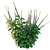 Belly Buster Plant Replica 3D model small image 3