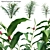 Versatile 3D Alpinia Plant Models 3D model small image 1