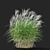  Chinese Miscanthus 3D Models 3D model small image 4