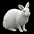 White Rabbit Model Virtual Asset 3D model small image 1