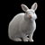 White Rabbit Model Virtual Asset 3D model small image 2