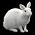 White Rabbit Model Virtual Asset 3D model small image 6