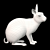 White Rabbit Model Virtual Asset 3D model small image 9