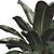 Modern Botanical Vase Set 3D model small image 4