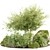 Mossy Garden Plants Bundle Vol.156 3D model small image 1