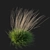 Corona Render Sideoats Grama Grass 3D model small image 2