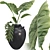 Botanical 3D Plant Collection Set 3D model small image 1
