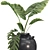 Botanical 3D Plant Collection Set 3D model small image 3