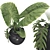 Botanical 3D Plant Collection Set 3D model small image 5