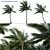 Complete 3D Coconut Plant Package 3D model small image 1