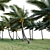 Complete 3D Coconut Plant Package 3D model small image 2