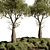 Garden Tree 3D Models Pack 3D model small image 2