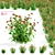 Hybrid Helenium Flower Collection 3D model small image 1