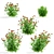 Hybrid Helenium Flower Collection 3D model small image 2