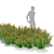 Hybrid Helenium Flower Collection 3D model small image 4