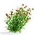 Hybrid Helenium Flower Collection 3D model small image 6
