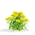 Goldenrod Flower 3D Models Bundle 3D model small image 1