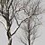 Winter Wonderland Trees Set 3D model small image 3