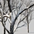 Winter Wonderland Trees Set 3D model small image 5