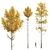 Quaking Aspen Tree Models 3D model small image 1