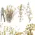 Golden Paperbush 3D Tree Models 3D model small image 1