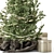  Festive Christmas Tree Set 1246 3D model small image 3