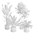 Exotic Indoor Plants Selection Pack 3D model small image 2
