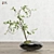 Creative Flower 3D Model Kit 3D model small image 2