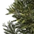 Minimalist Pine Tree Model 3D model small image 2