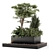2015 Backyard Landscape Set 1254 3D model small image 5