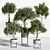 Modern Indoor Plant Decoration 3D 3D model small image 2