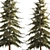 Evergreen Trees Collection for Landscape Design 3D model small image 5