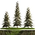 Evergreen Trees Collection for Landscape Design 3D model small image 8