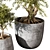 Botanical Beauty 2021 Display Set 3D model small image 3