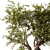Botanical Beauty 2021 Display Set 3D model small image 4