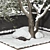Snowy Garden Plant Set 3D 3D model small image 3