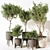 Modern Indoor Plant 203 3D model small image 1
