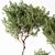 Modern Indoor Plant 203 3D model small image 3