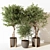 Modern Indoor Plant 3D Model 3D model small image 1