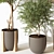 Modern Indoor Plant 3D Model 3D model small image 2