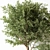 Modern Indoor Plant 3D Model 3D model small image 3