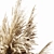 Elegant Pampas Plant 3D Model 3D model small image 4