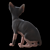 Sphynx Model Kitten: 287mm Height 3D model small image 3