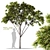 Tropical Greenery Assets Set 3D model small image 1