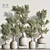 Greenery Haven Set - 3D Indoor Plants 3D model small image 1