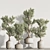 Greenery Haven Set - 3D Indoor Plants 3D model small image 3